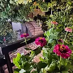 Denis House 1930 Cozy Private With Authentic Charm Maison d'hôtes 4*