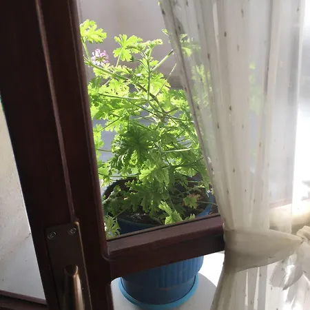 Denis 1930 Traditional Family In Old Town Homemade Breakfast